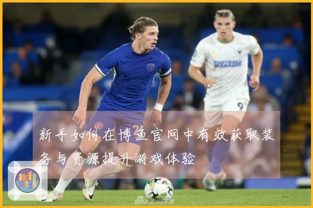 新手如何在博鱼官网中有效获取装备与资源提升游戏体验