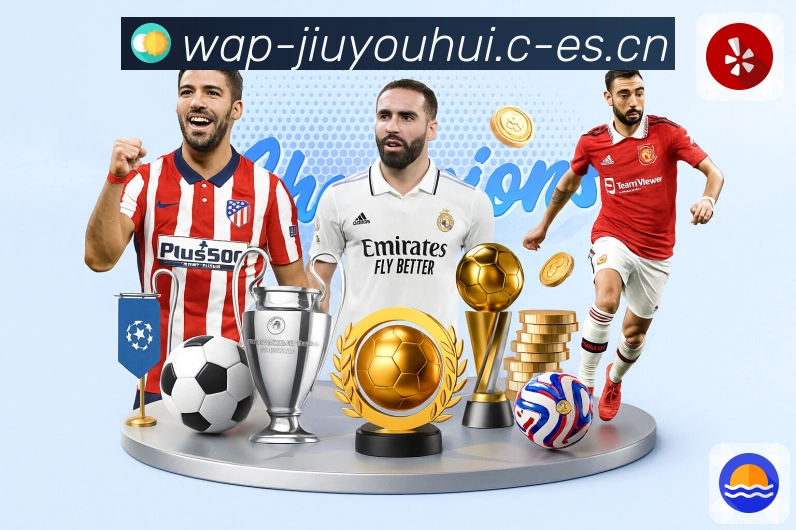 隐私保护流程示意